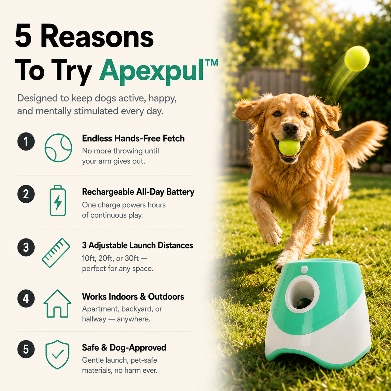 APEXPUL™ Ball Launcher