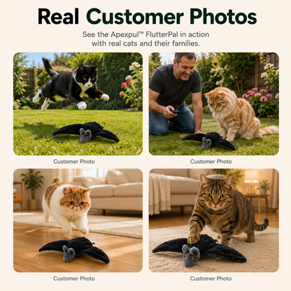APEXPUL™ FlutterPal Interactive Cat Toy