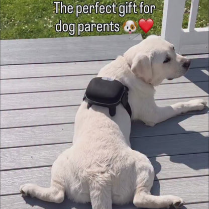 APEXPUL™ Calming Massager: For Pets & People 🐶